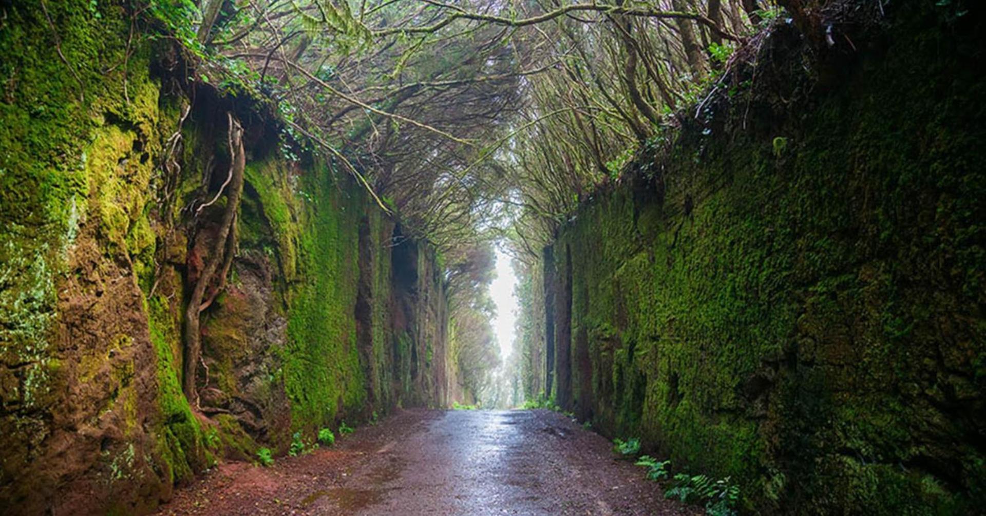Secret Location Of Teresitas Appartamento *